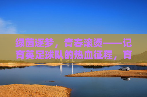 绿茵逐梦,青春滚烫——记育英足球队的热血征程,育英足球队,绿茵逐梦,青春滚烫