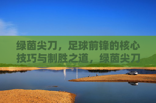 绿茵尖刀，足球前锋的核心技巧与制胜之道，绿茵尖刀，前锋核心技巧与制胜之道