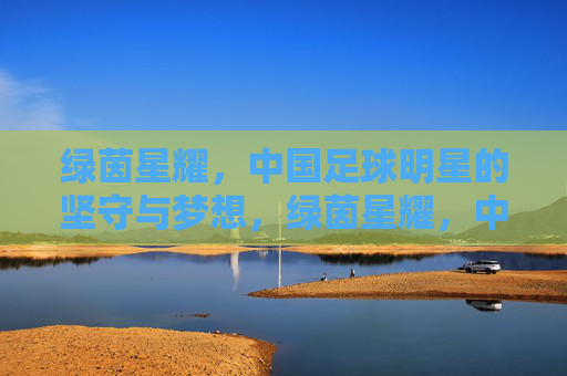 绿茵星耀,中国足球明星的坚守与梦想,绿茵星耀,中国足球明星的坚守与梦想