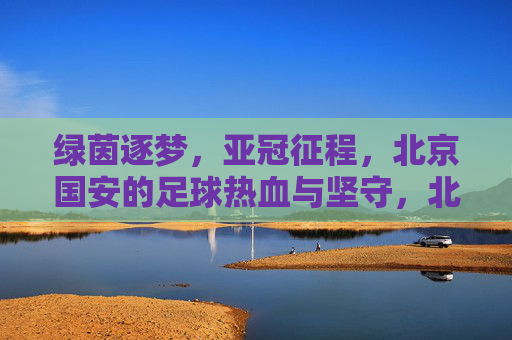 绿茵逐梦，亚冠征程，北京国安的足球热血与坚守，北京国安亚冠逐梦，绿茵热血与坚守之路