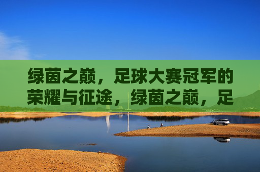 绿茵之巅，足球大赛冠军的荣耀与征途，绿茵之巅，足球冠军的荣耀征途