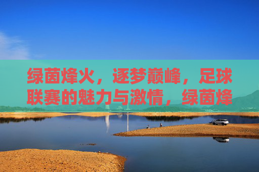 绿茵烽火，逐梦巅峰，足球联赛的魅力与激情，绿茵烽火逐梦巅峰，足球联赛的魅力与激情