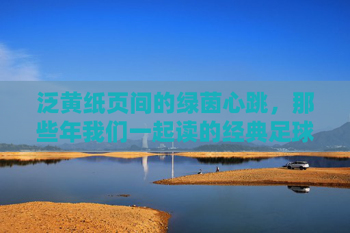 泛黄纸页间的绿茵心跳，那些年我们一起读的经典足球报，泛黄纸页间的绿茵心跳，那些年经典足球报
