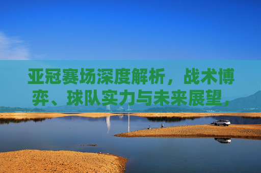 亚冠赛场深度解析，战术博弈、球队实力与未来展望，亚冠赛场深度解析，战术博弈、球队实力与未来展望