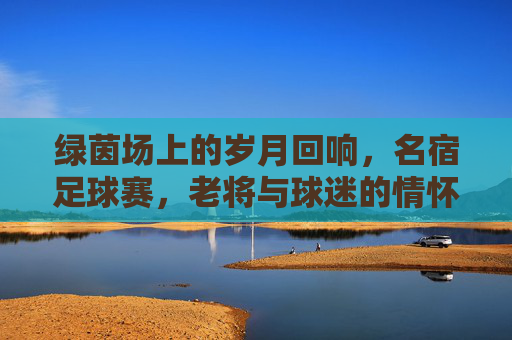 绿茵场上的岁月回响,名宿足球赛,老将与球迷的情怀之约,绿茵岁月回响,名宿与球迷的情怀之约