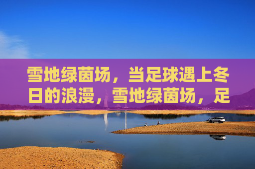 雪地绿茵场,当足球遇上冬日的浪漫,雪地绿茵场,足球与冬日的浪漫邂逅