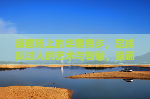 绿茵场上的华丽舞步，足球队过人的艺术与智慧，绿茵舞步，过人的艺术与智慧