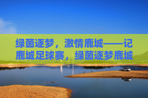 绿茵逐梦，激情鹿城——记鹿城足球赛，绿茵逐梦鹿城，足球激情澎湃