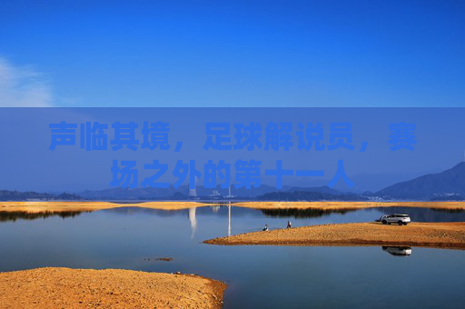 声临其境,足球解说员,赛场之外的第十一人