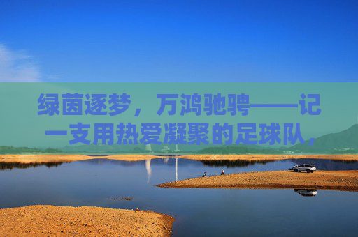 绿茵逐梦，万鸿驰骋——记一支用热爱凝聚的足球队，绿茵逐梦，热爱驰骋