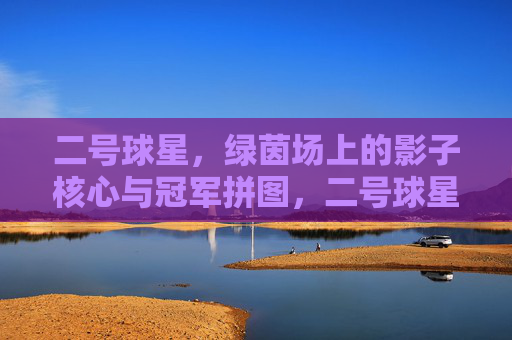 二号球星,绿茵场上的影子核心与冠军拼图,二号球星,绿茵场上的影子核心与冠军拼图