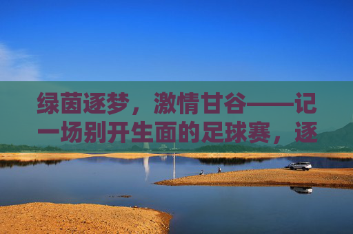 绿茵逐梦，激情甘谷——记一场别开生面的足球赛，逐梦绿茵，激情甘谷