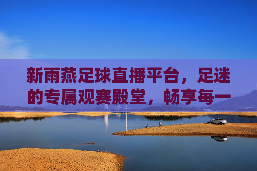 新雨燕足球直播平台，足迷的专属观赛殿堂，畅享每一刻激情，新雨燕，足迷专属观赛殿堂，畅享每一刻足球激情