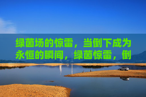 绿茵场的惊雷,当倒下成为永恒的瞬间,绿茵惊雷,倒下的永恒瞬间