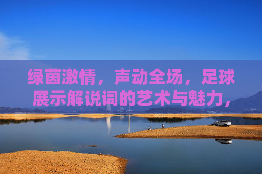绿茵激情,声动全场,足球展示解说词的艺术与魅力,绿茵声动,足球解说词的艺术魅力