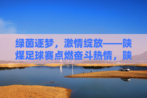 绿茵逐梦，激情绽放——陕煤足球赛点燃奋斗热情，陕煤足球赛，绿茵逐梦点燃奋斗激情