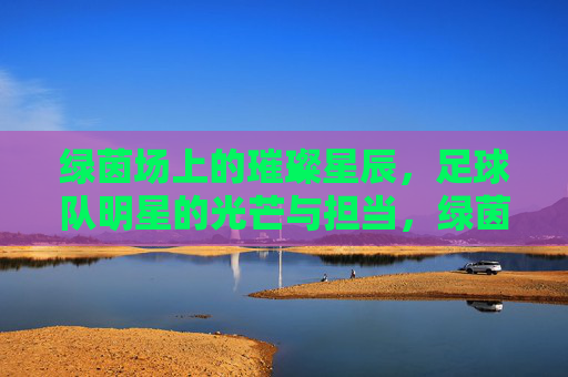 绿茵场上的璀璨星辰，足球队明星的光芒与担当，绿茵星辰，足球队明星的光芒与担当