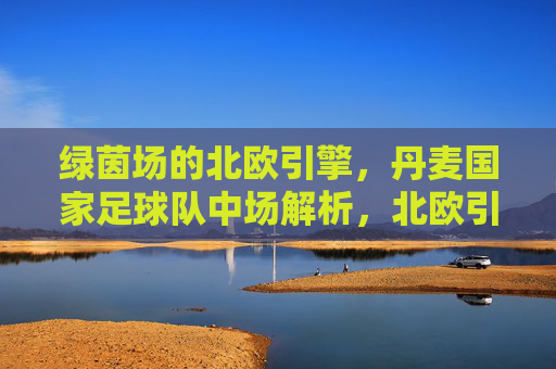 绿茵场的北欧引擎,丹麦国家足球队中场解析,北欧引擎,丹麦国家足球队中场解析