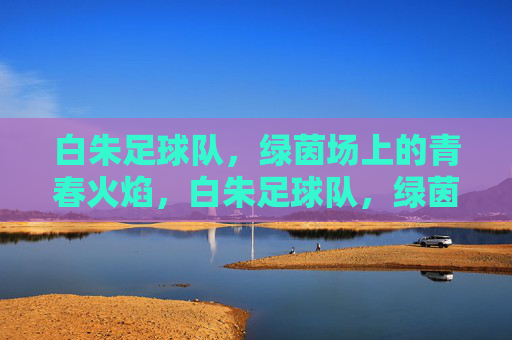 白朱足球队,绿茵场上的青春火焰,白朱足球队,绿茵场上的青春火焰
