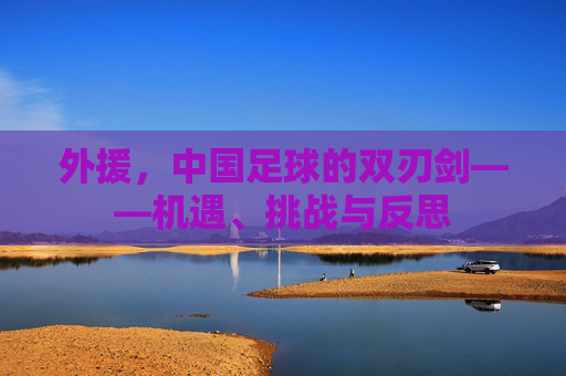 外援,中国足球的双刃剑——机遇、挑战与反思