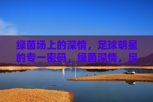 绿茵场上的深情,足球明星的专一密码,绿茵深情,足球明星的专一密码