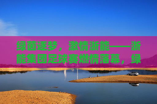 绿茵逐梦，激情浙能——浙能集团足球赛燃情落幕，绿茵逐梦，激情浙能——浙能集团足球赛燃情落幕