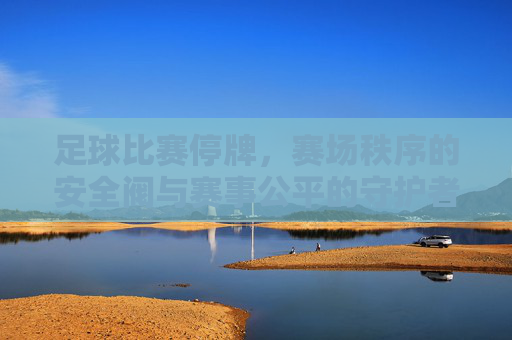 足球比赛停牌,赛场秩序的安全阀与赛事公平的守护者,足球比赛停牌,赛场秩序的安全阀与赛事公平的守护者
