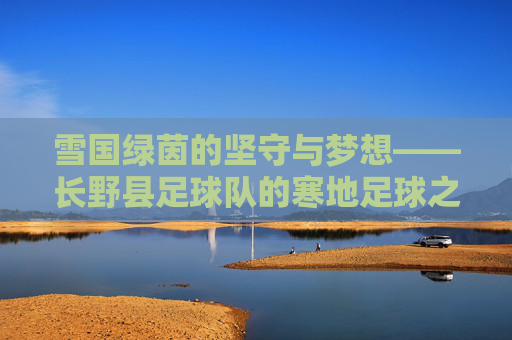 雪国绿茵的坚守与梦想——长野县足球队的寒地足球之路，长野寒地足球队的坚守与梦想