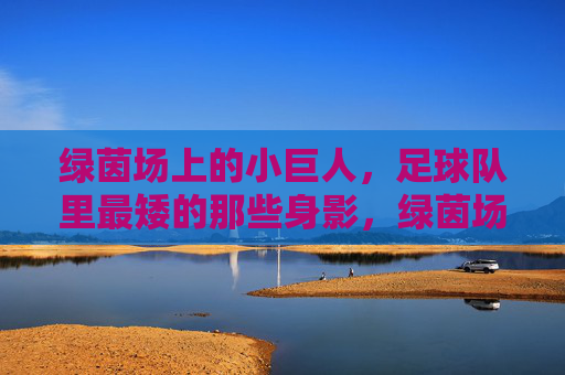 绿茵场上的小巨人,足球队里最矮的那些身影,绿茵场小巨人,足球队最矮的身影