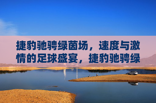 捷豹驰骋绿茵场，速度与激情的足球盛宴，捷豹驰骋绿茵场，速度与激情的足球盛宴