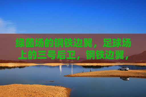 绿茵场的钢铁边翼,足球场上的三号后卫,钢铁边翼,绿茵场上的三号后卫