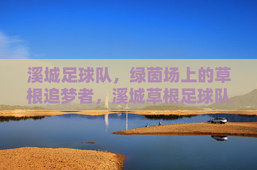 溪城足球队,绿茵场上的草根追梦者,溪城草根足球队,绿茵追梦者