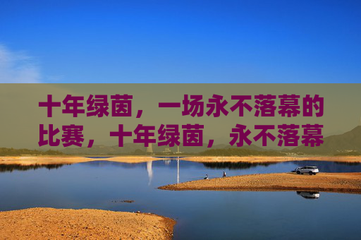 十年绿茵,一场永不落幕的比赛,十年绿茵,永不落幕的比赛