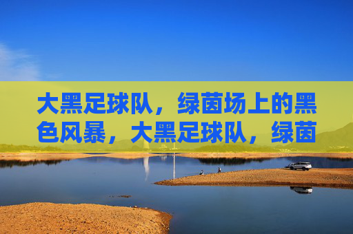 大黑足球队,绿茵场上的黑色风暴,大黑足球队,绿茵场上的黑色风暴
