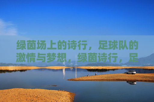 绿茵场上的诗行，足球队的激情与梦想，绿茵诗行，足球队的激情与梦想