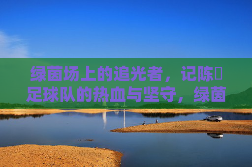 绿茵场上的追光者，记陈喆足球队的热血与坚守，绿茵追光者，陈喆足球队的热血坚守
