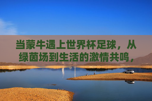 当蒙牛遇上世界杯足球，从绿茵场到生活的激情共鸣，蒙牛世界杯，绿茵场到生活的激情共鸣