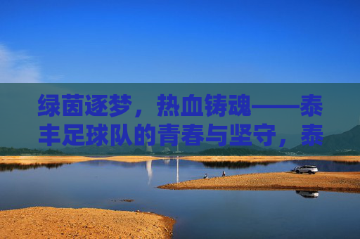 绿茵逐梦，热血铸魂——泰丰足球队的青春与坚守，泰丰足球队，绿茵逐梦，青春坚守