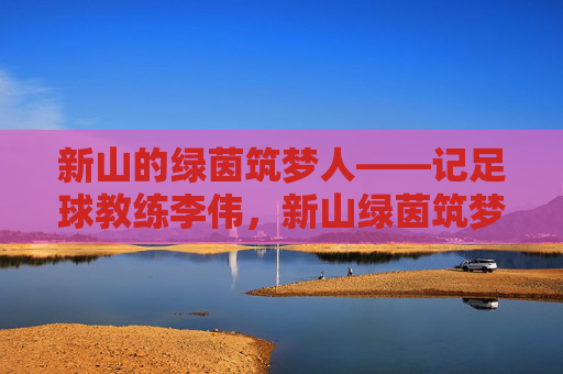 新山的绿茵筑梦人——记足球教练李伟，新山绿茵筑梦人——足球教练李伟