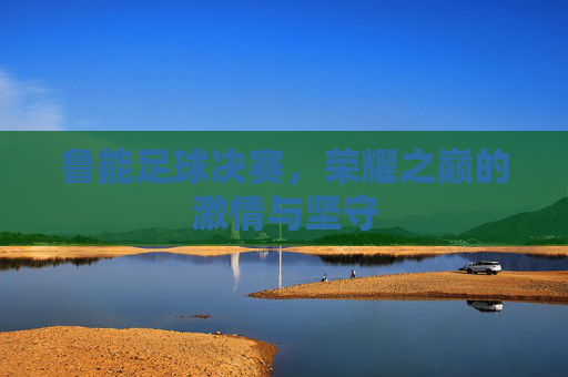 鲁能足球决赛,荣耀之巅的激情与坚守