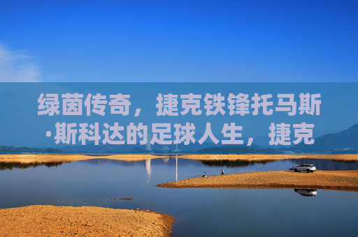 绿茵传奇,捷克铁锋托马斯·斯科达的足球人生,捷克铁锋托马斯·斯科达,绿茵传奇足球人生