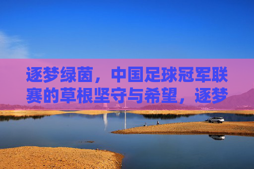 逐梦绿茵,中国足球冠军联赛的草根坚守与希望,逐梦绿茵,草根坚守,中国足球冠军联赛的希望