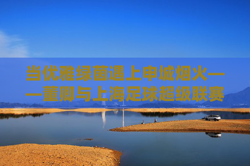 当优雅绿茵遇上申城烟火——董卿与上海足球超级联赛的双向奔赴,优雅绿茵遇上申城烟火,董卿与上海足球超级联赛的双向奔赴