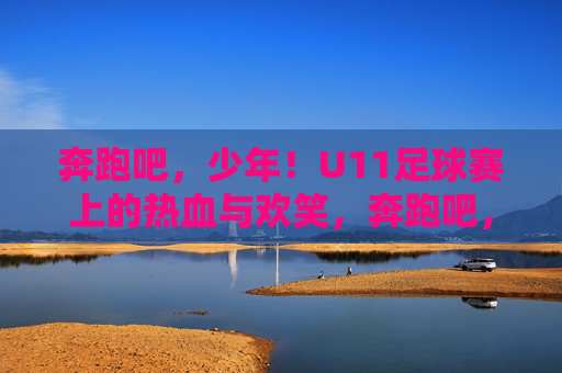 奔跑吧,少年!U11足球赛上的热血与欢笑,奔跑吧,少年!U11足球赛的热血与欢笑