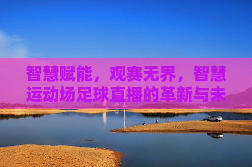 智慧赋能,观赛无界,智慧运动场足球直播的革新与未来,智慧赋能,观赛无界,足球直播的革新与未来