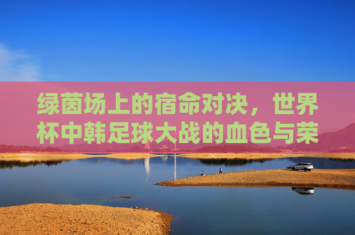 绿茵场上的宿命对决，世界杯中韩足球大战的血色与荣光，世界杯中韩宿命对决，血色与荣光
