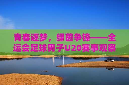 青春逐梦,绿茵争锋——全运会足球男子U20赛事观察,青春逐梦,绿茵争锋,全运会U20男子足球