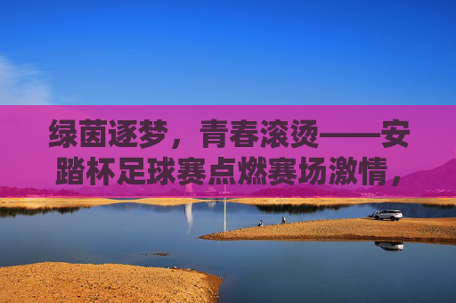 绿茵逐梦,青春滚烫——安踏杯足球赛点燃赛场激情,绿茵逐梦,青春滚烫——安踏杯足球赛燃情赛场