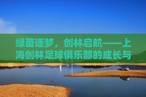 绿茵逐梦，创林启航——上海创林足球俱乐部的成长与展望，创林逐梦，绿茵启航，上海足球俱乐部的成长展望