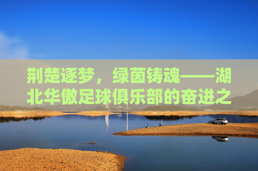 荆楚逐梦，绿茵铸魂——湖北华傲足球俱乐部的奋进之路，荆楚逐梦，绿茵铸魂——湖北华傲足球俱乐部奋进之路